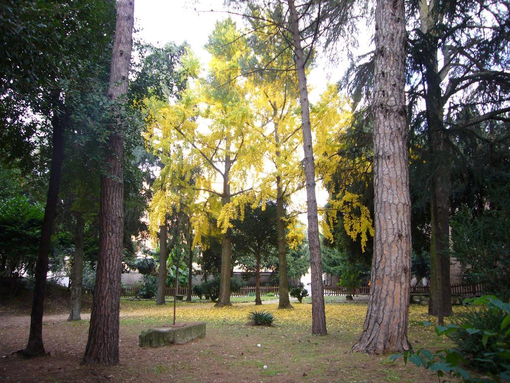 Villa Altieri Albano Laziale Zewnętrze zdjęcie
