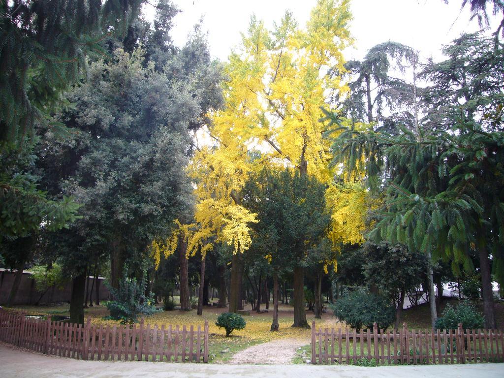 Villa Altieri Albano Laziale Zewnętrze zdjęcie