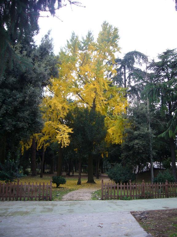 Villa Altieri Albano Laziale Zewnętrze zdjęcie