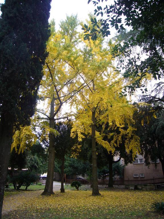 Villa Altieri Albano Laziale Zewnętrze zdjęcie