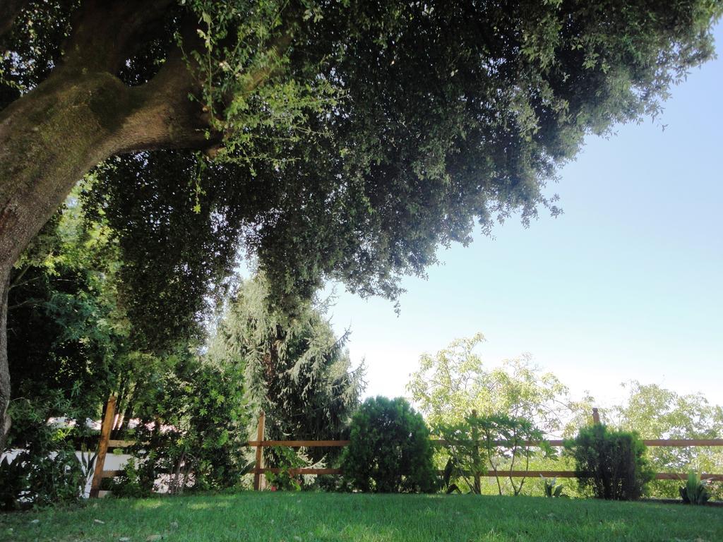 Villa Altieri Albano Laziale Zewnętrze zdjęcie
