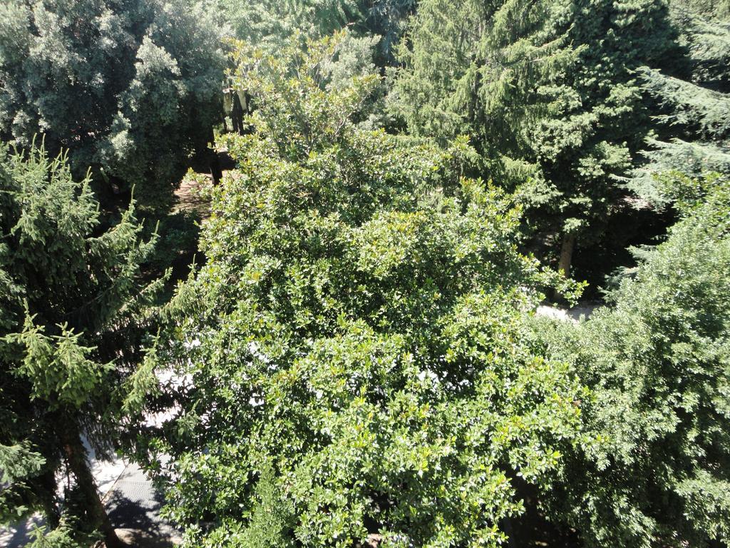 Villa Altieri Albano Laziale Zewnętrze zdjęcie